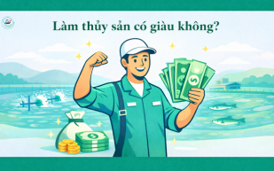 Làm thủy sản có giàu không?