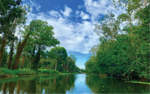 Cách đọc và xử lý chỉ số môi trường nước cho người mới