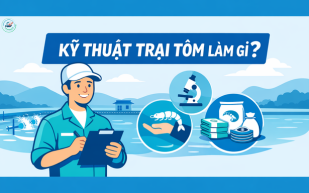 Kỹ thuật viên trại tôm là làm gì? Công việc và thu nhập thực tế ?