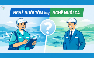 Sale kỹ thuật thủy sản: So sánh nghề nuôi tôm và nuôi cá